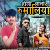 About Holi Valo Rumaliyo Song